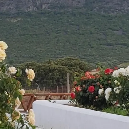 Finca La Rinconada Calamonte Exterior photo