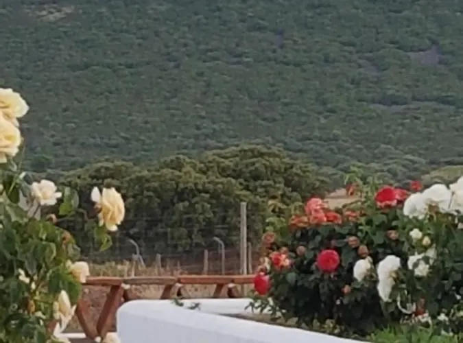 Finca La Rinconada