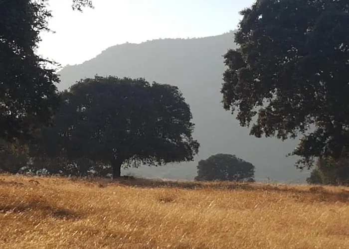 Finca La Rinconada