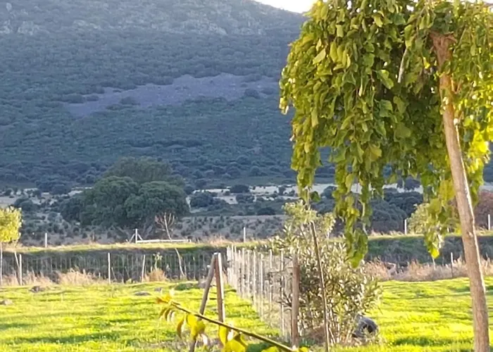 Finca La Rinconada