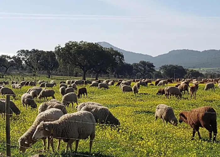 Finca La Rinconada