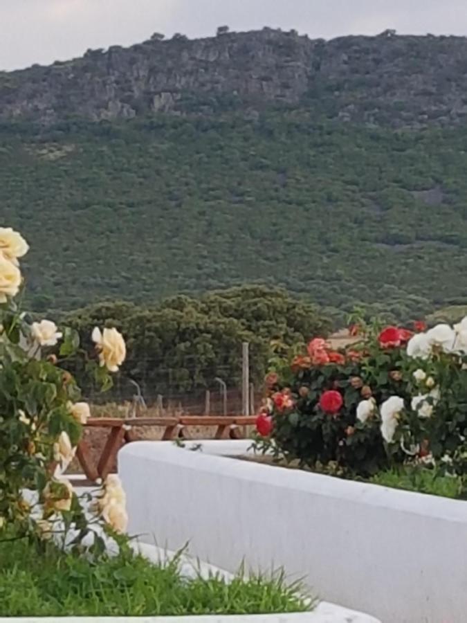 La Rinconada Calamonte