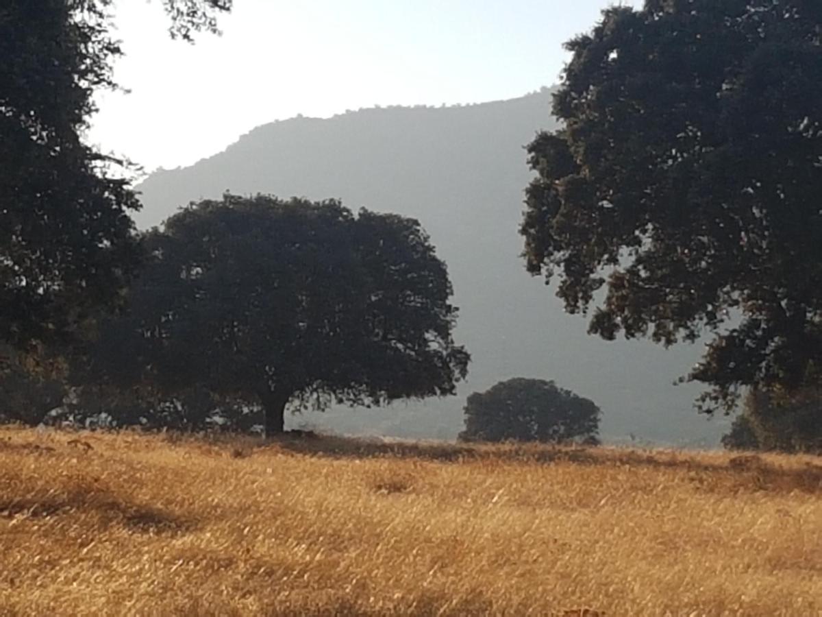 Villa La Rinconada *