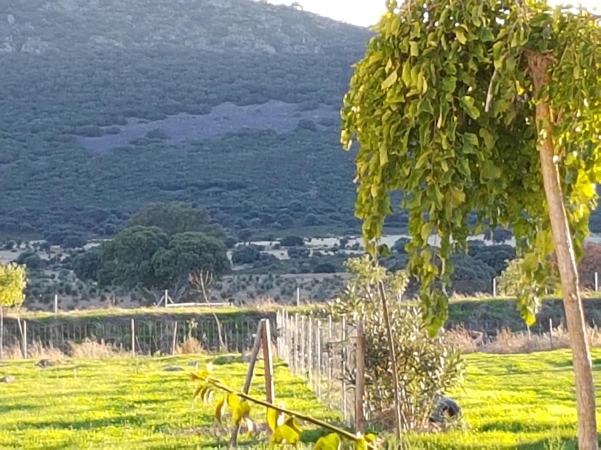 La Rinconada